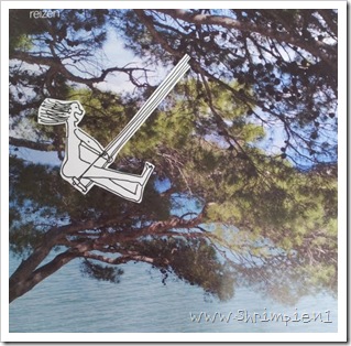 dag171