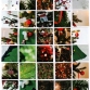 Kerstkaarten